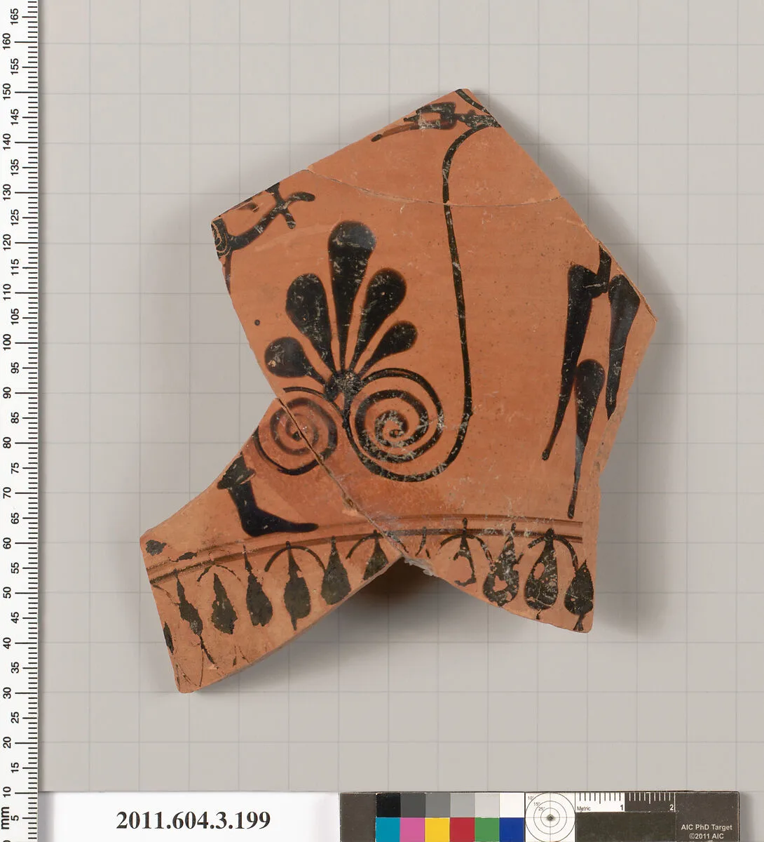 Terracotta fragment of a neck-amphora (jar) — Unknown
