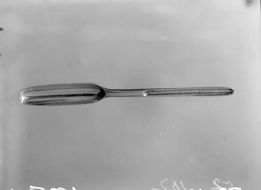 Marrow Spoon