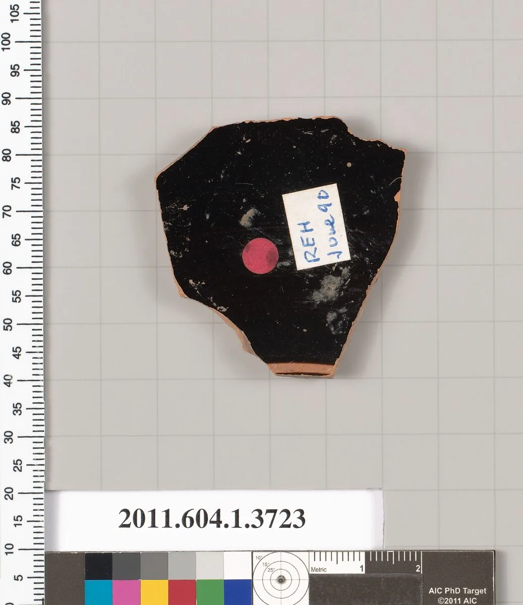 Terracotta fragment of a kylix (drinking cup) — Unknown