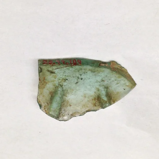 Fragment