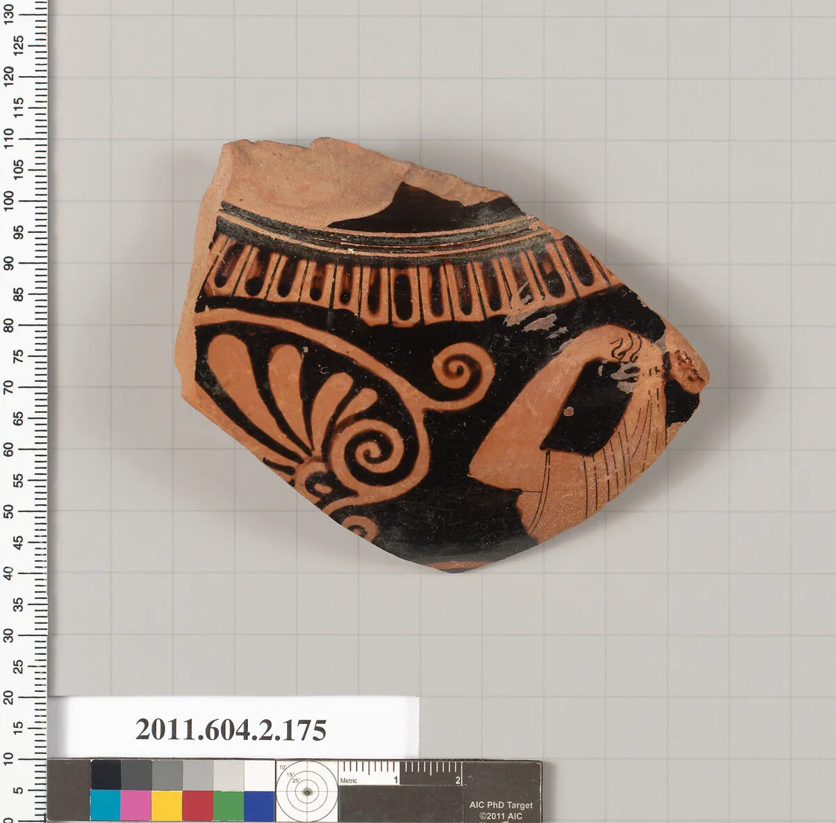 Terracotta fragment of a stamnos (jar) — Unknown