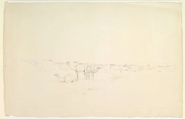 Camels in a landscape — Howard Carter