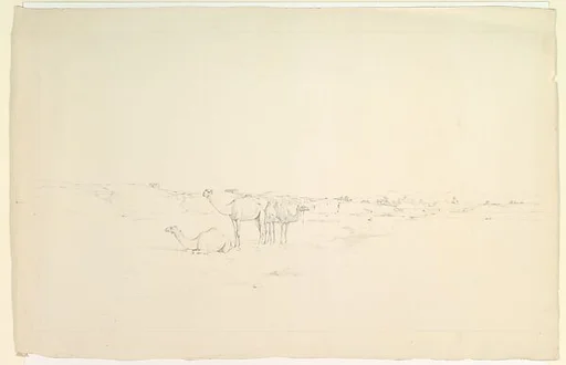 Camels in a landscape