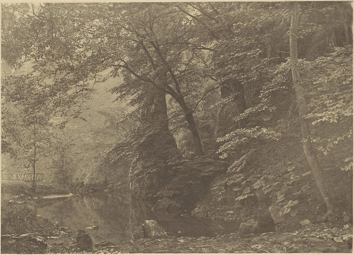 Pike Pool — George Bankart