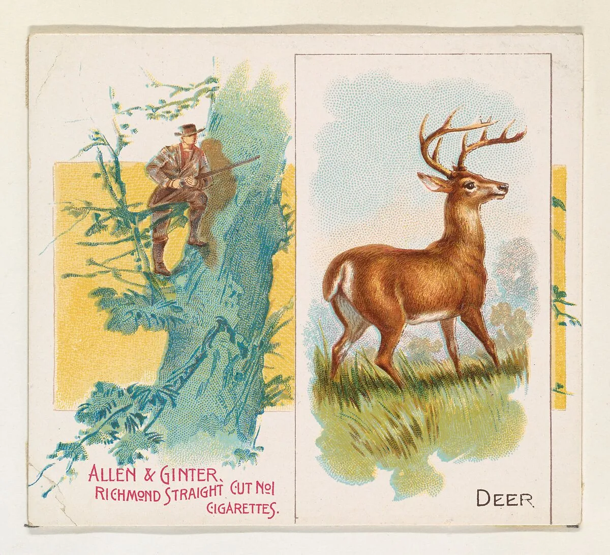 Deer, from Quadrupeds series (N41) for Allen & Ginter Cigarettes — Allen & Ginter|Lindner, Eddy & Claus