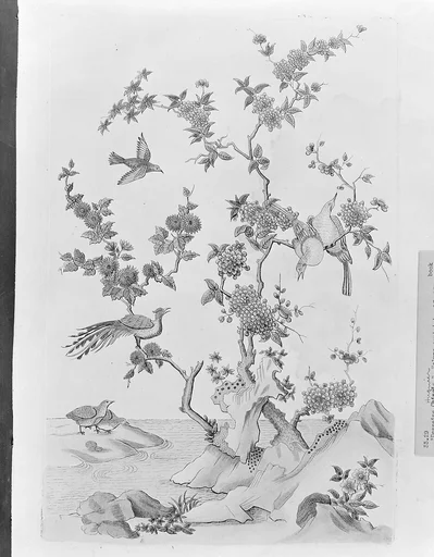 [Book of different species of birds, flowers, plants, and trophies of China]
