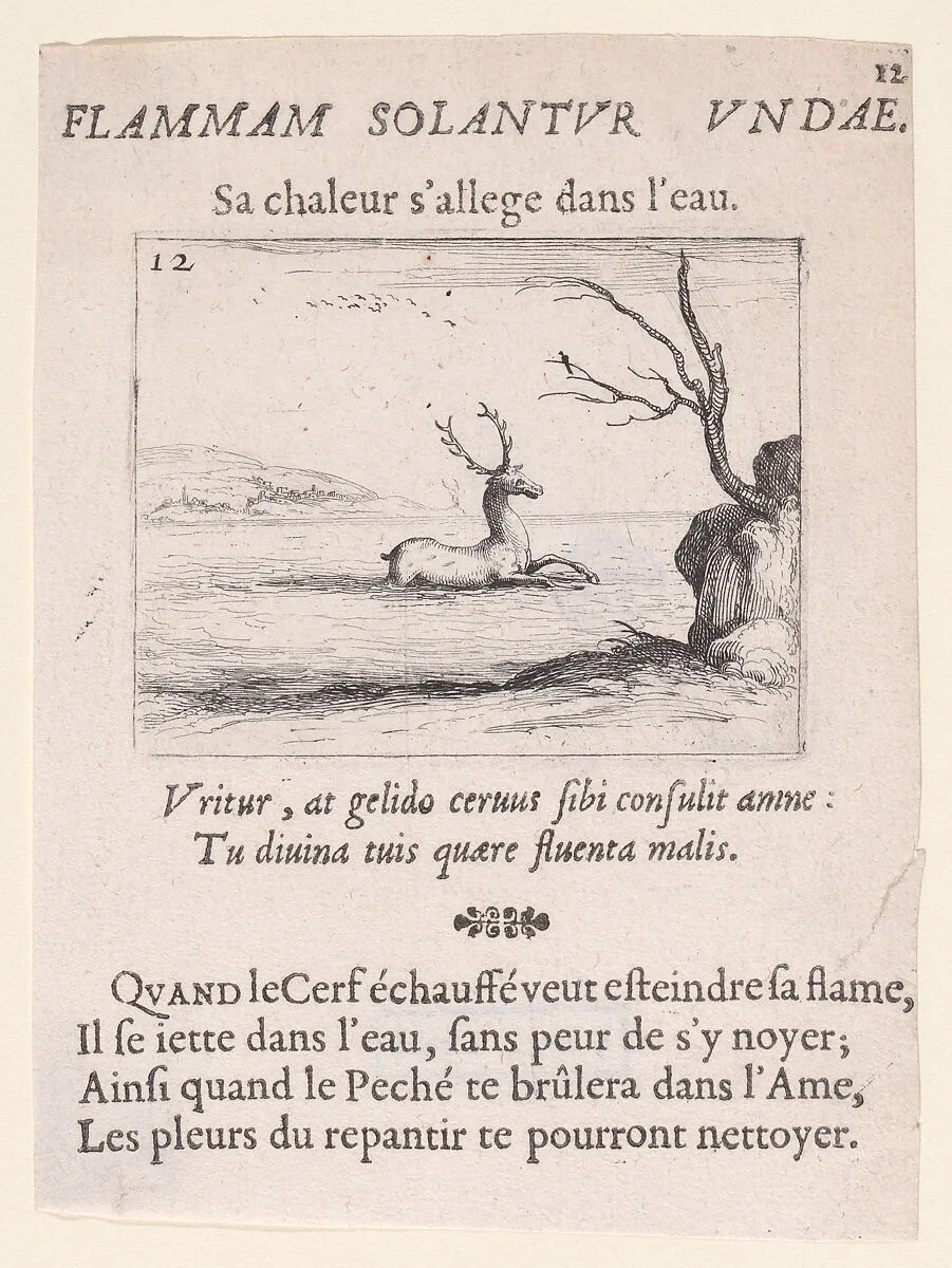 Un Cerf dans l'Eau (A Deer in the Water), from Lux Claustri ou La Lumière du Cloitre (The Light of the Cloisters), plate 12 — François Langlois|Jacques Callot