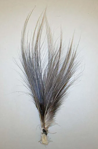 Aigrette