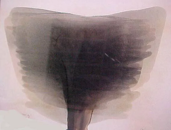 White Sky — Otto Piene