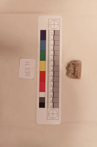 Stucco Fragment