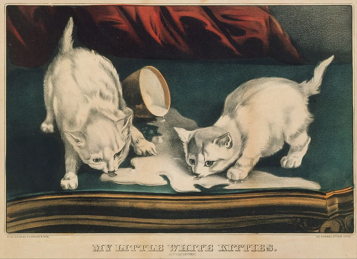 My Little White Kitties – Into Mischief — Currier & Ives