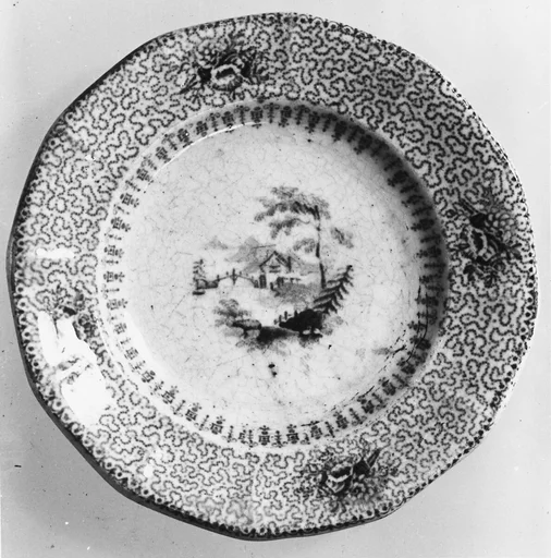 Cup Plate