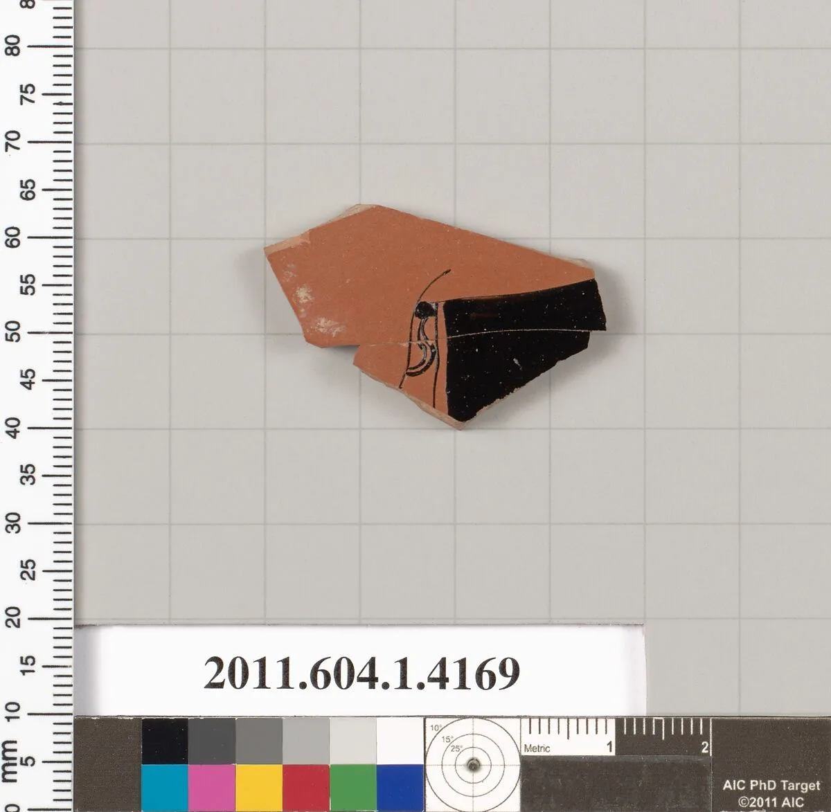 Terracotta fragment of a kylix (drinking cup) — Unknown
