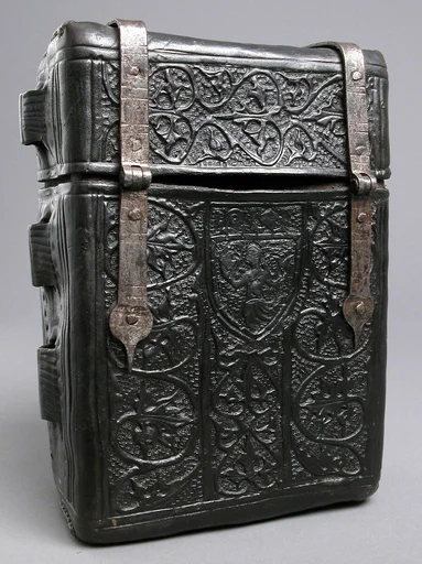 Case for a Book
