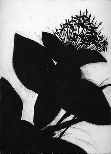 Ixora - Jungle Flame
