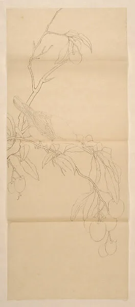 Untitled — Xie Zhiliu