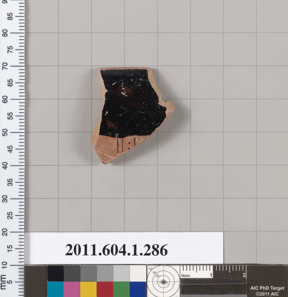 Terracotta rim fragment of a kylix (drinking cup) — Unknown