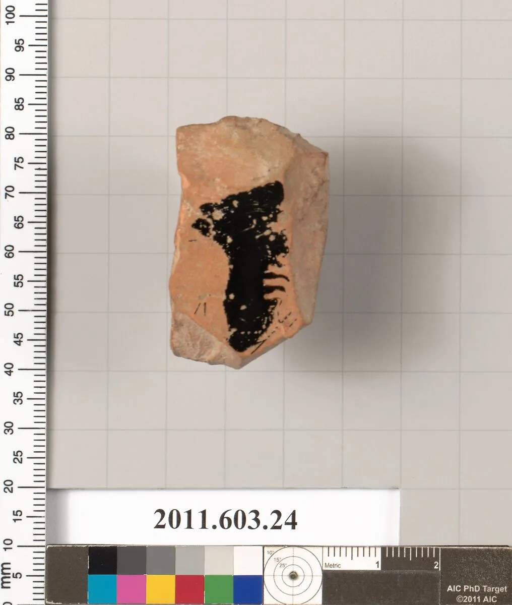 Fragment of a terracotta kylix — Unknown
