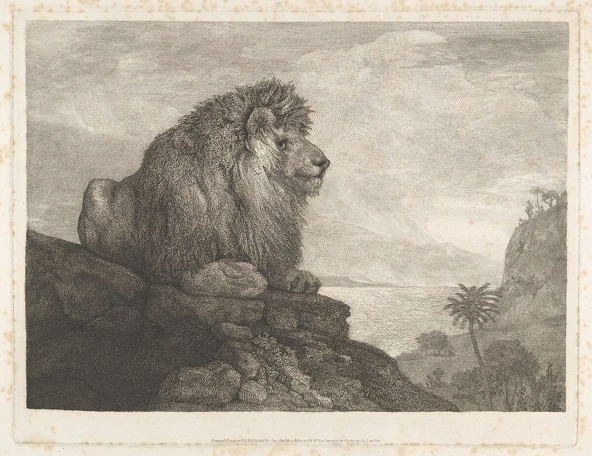 A Lion (A Lion Resting on a Rock) — George Stubbs
