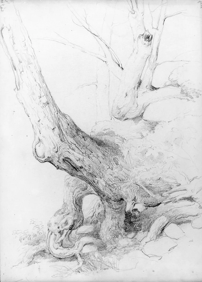 Sketch from Nature — Asher Brown Durand