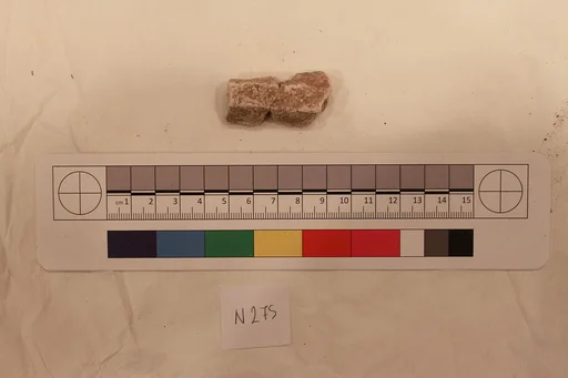 Stucco Fragment