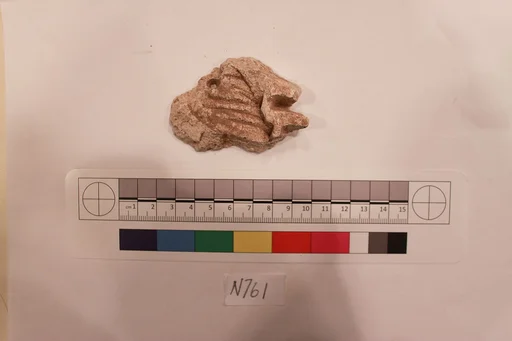 Stucco Fragment