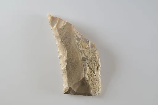 Sickle Insert