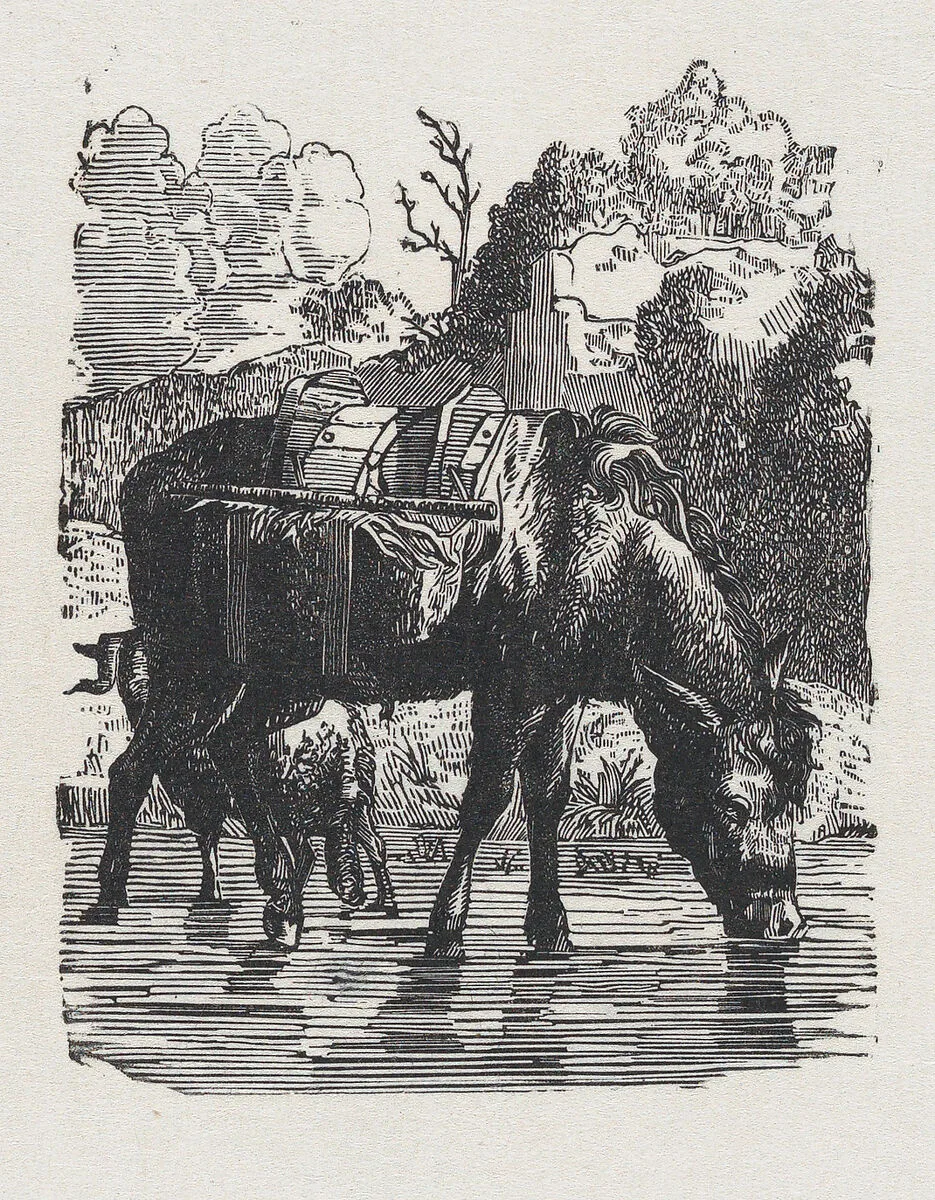 Saddled donkeys drinking water — Anonymous, Mexican