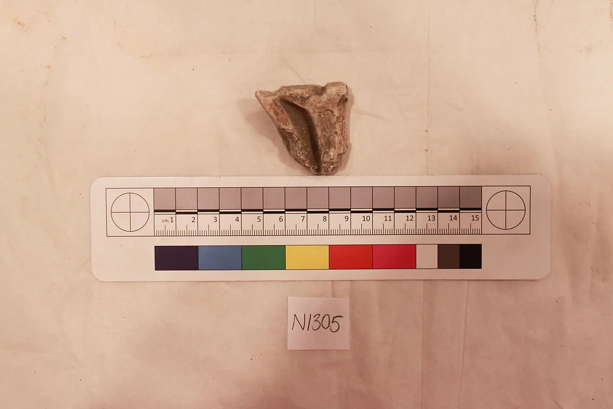 Stucco Fragment — Unknown