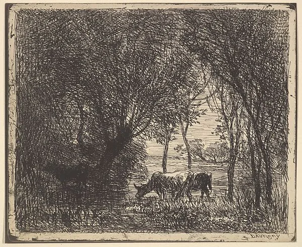 Cows in Woods — Charles-François Daubigny|Maurice Le Garrec
