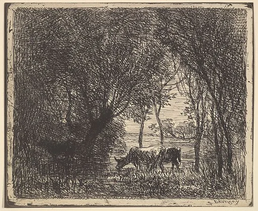 Cows in Woods
