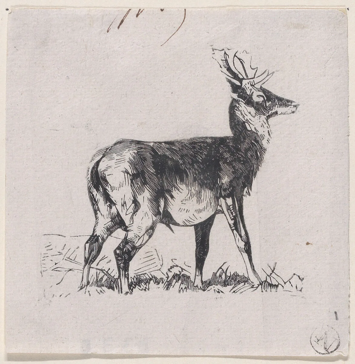 The Deer — Charles Jacque