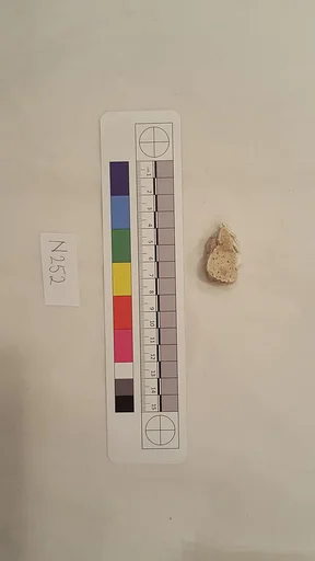 Stucco Fragment