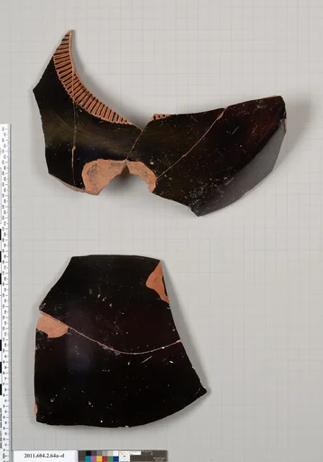 Terracotta fragments of an amphora (jar)