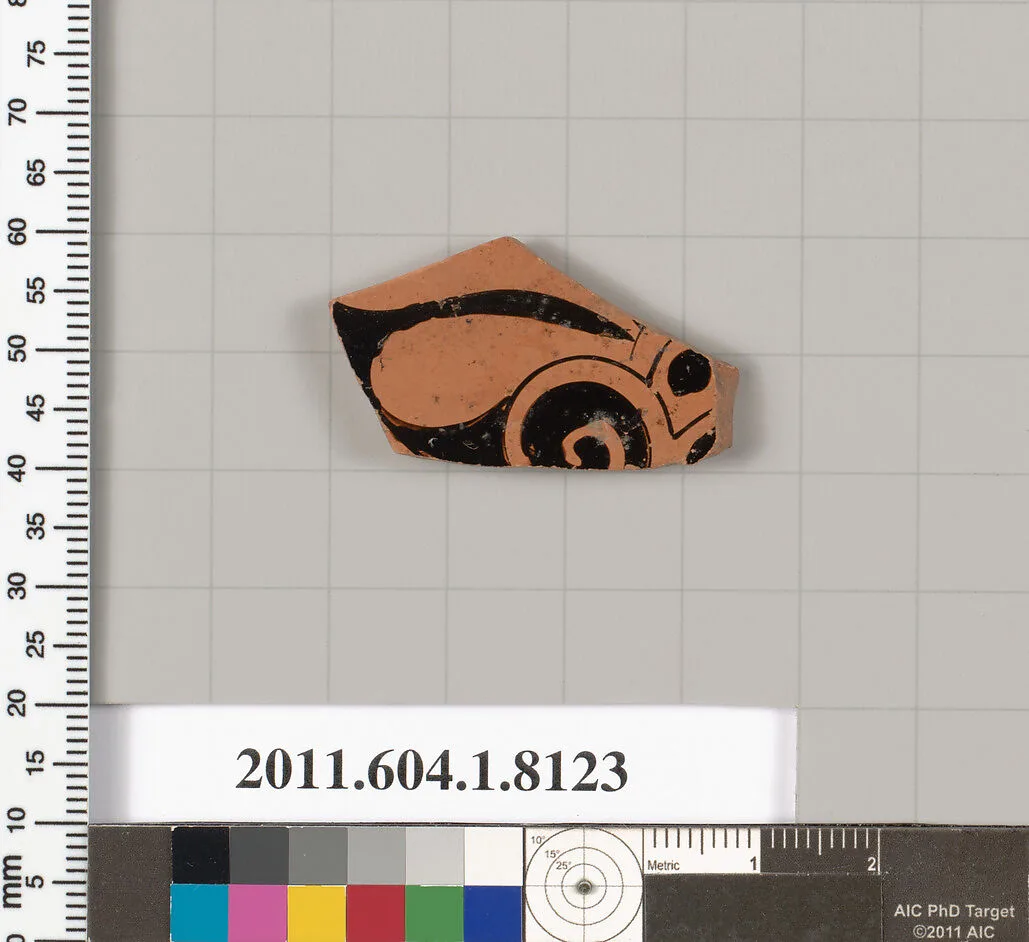 Terracotta fragment of a kylix (drinking cup) — Unknown