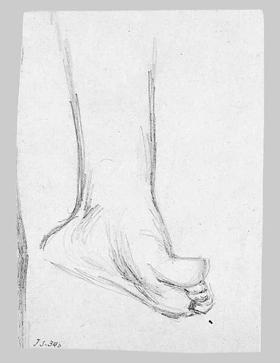 Foot