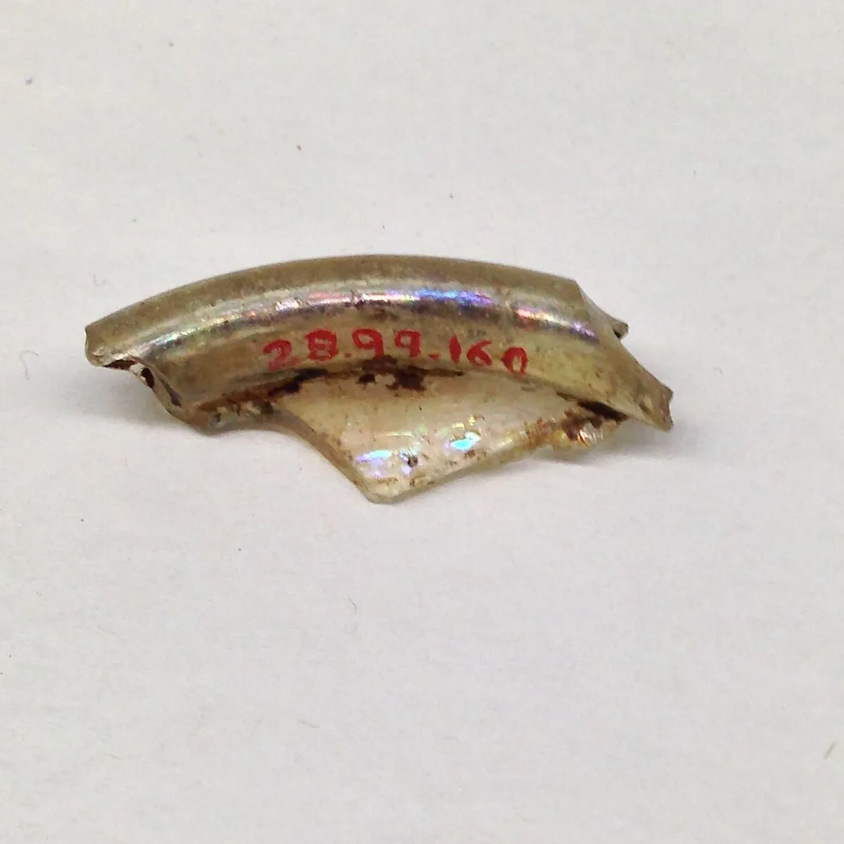 Fragment — Unknown
