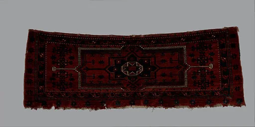 Storage Bag Fragment