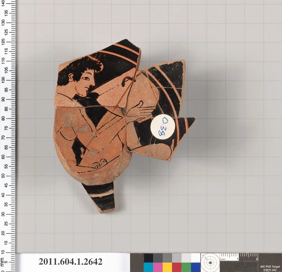 Terracotta fragment of a kylix (drinking cup) — Unknown