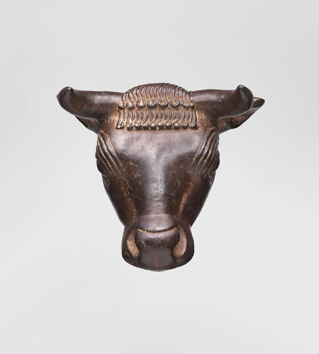 Bull's head — Unknown