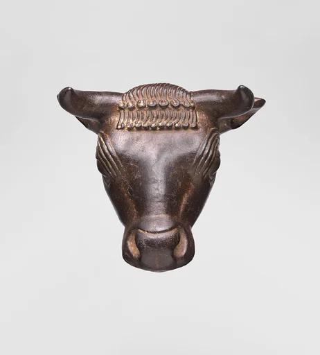 Bull's head