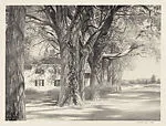 Spring on Pleasant Street — Stow Wengenroth