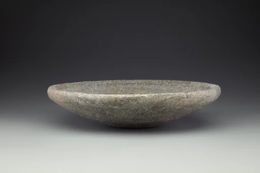 Dish