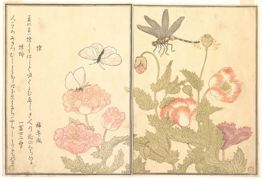 『画本虫撰』 「蝶」「蜻蛉」|Butterfly (Chō); Dragonfly (Kagerō or Tonbo), from the Picture Book of Crawling Creatures (Ehon mushi erami)