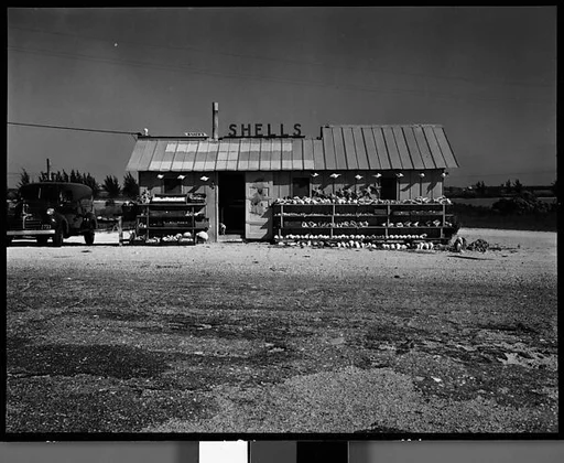 [Baker's Roadside Shell Stand, Florida]