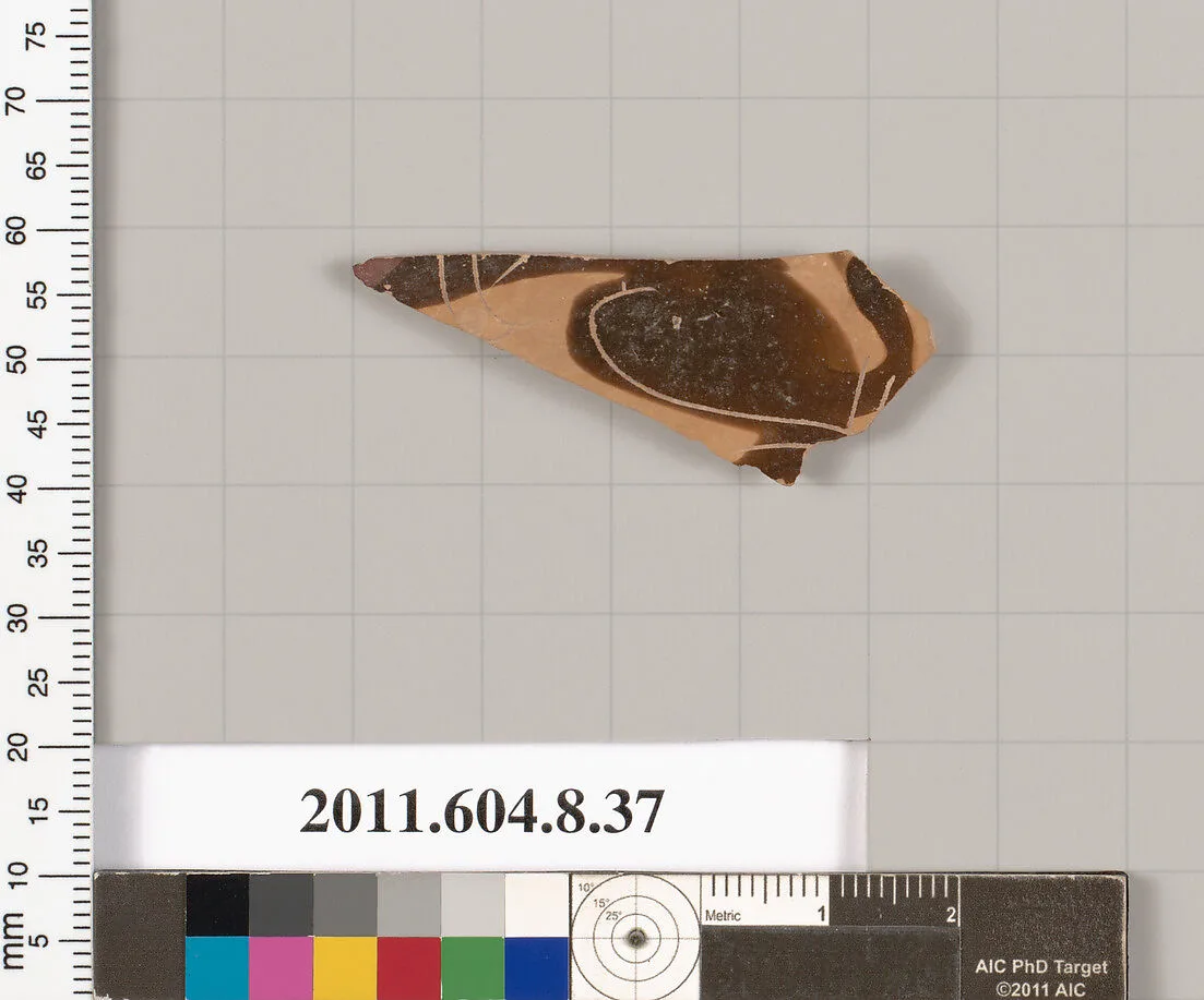 Terracotta fragment of an open shape — Unknown