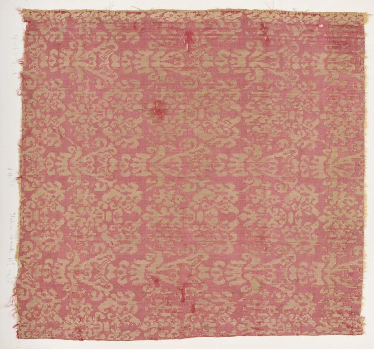 Fragment — Unknown