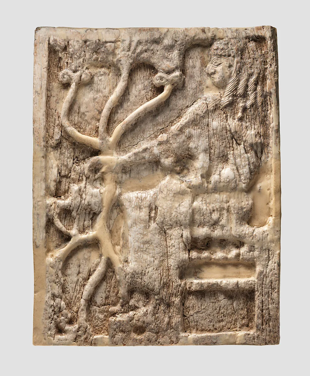 Panel — Unknown