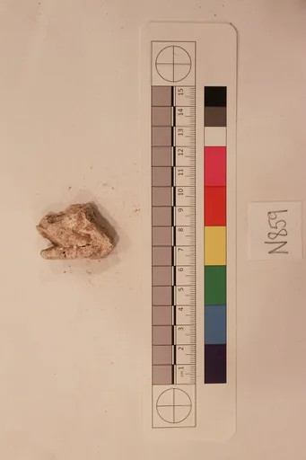 Stucco Fragment