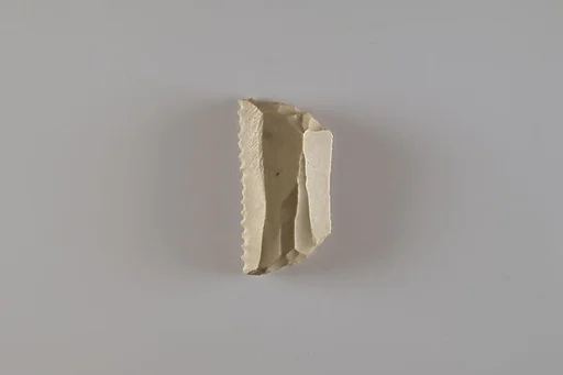 Denticulated Tool